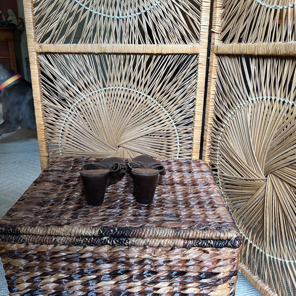 DEXTER - Picture 2 of 4